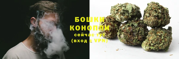 шишки Вязники