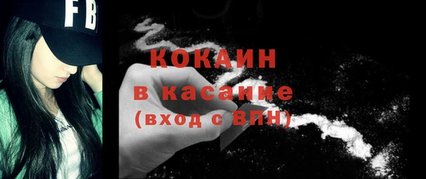 шишки Вязники