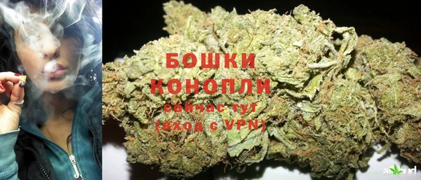 шишки Вязники