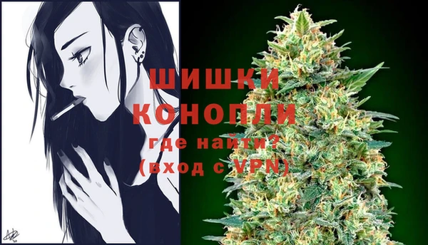 шишки Вязники