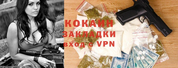 шишки Вязники