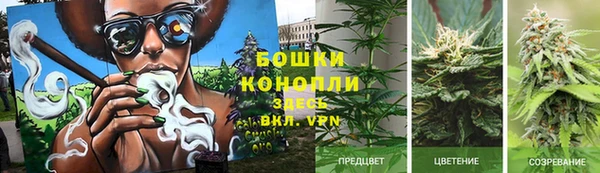 шишки Вязники